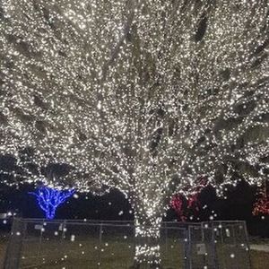 Meet your Posher, Jake